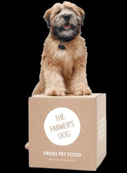 Fresh Dog Food