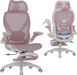 X100 Ergonomic Mesh Office Chair